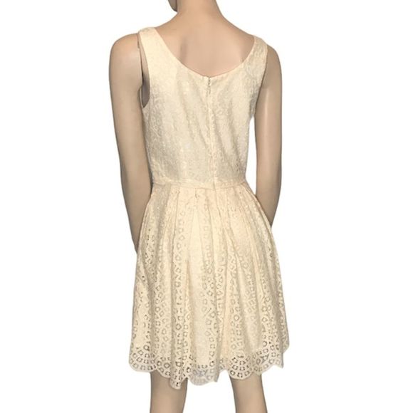 J Crew Factory Swirling Lace Fit and Flare Dress - Picture 3 of 11